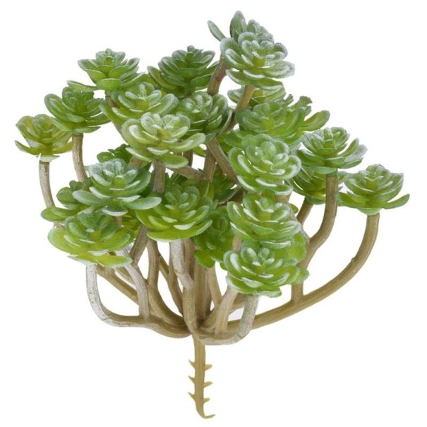 Succulent décoratif artificiel 1