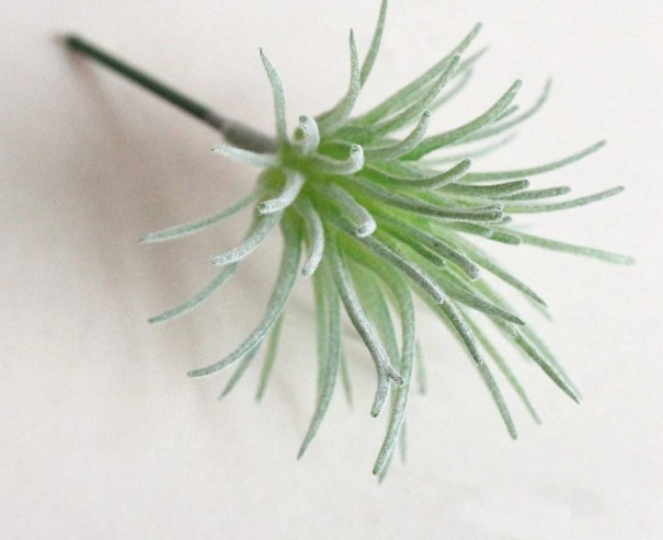 Suculenta artificial 13