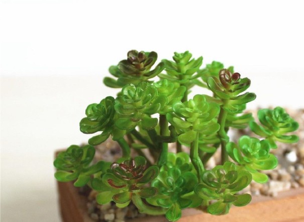 Suculenta artificial C580 2
