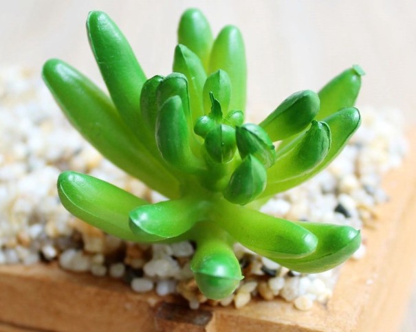 Suculenta artificial C580 8