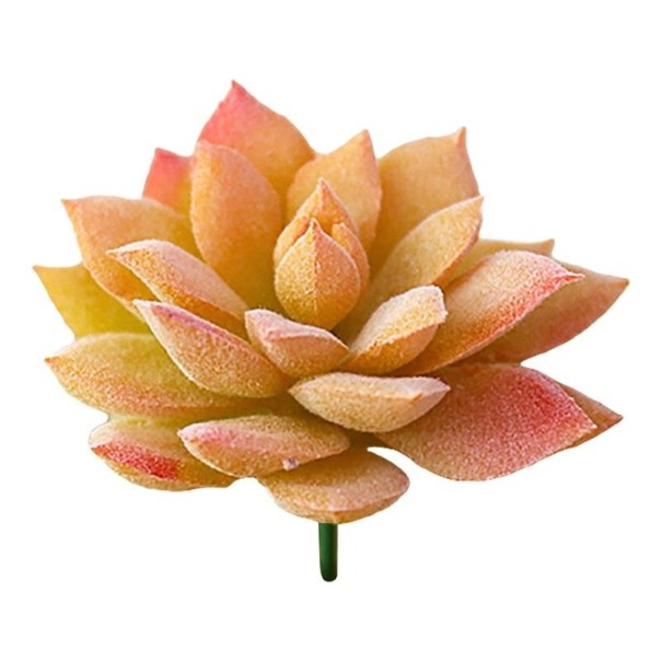 Suculenta artificial C642 8