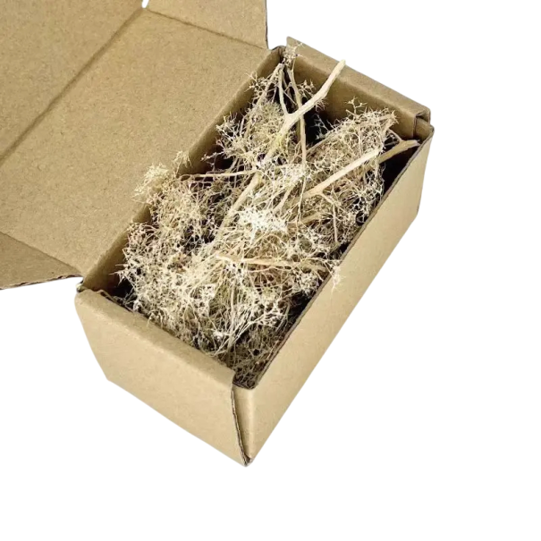 Suszone rośliny modelarskie w pudełku 10,5 × 5,3 × 5,3 cm Naturalna dekoracja do dioram i krajobrazu modelarskiego 4