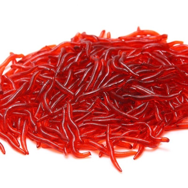Sztuczne robaki 3,5 cm 100 szt 6