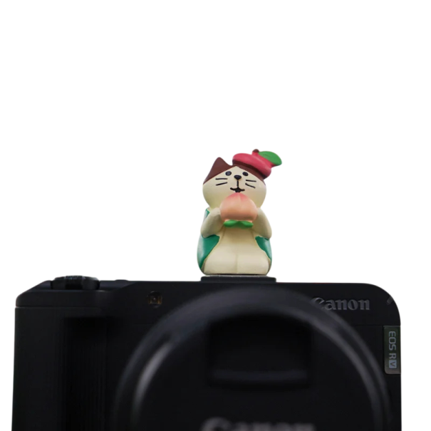 Tapa de flash de cámara Universal para zapata Accesorio decorativo protector con motivo de gato con gorra para Sony Nikon Canon Fuji Pentax Leica 1