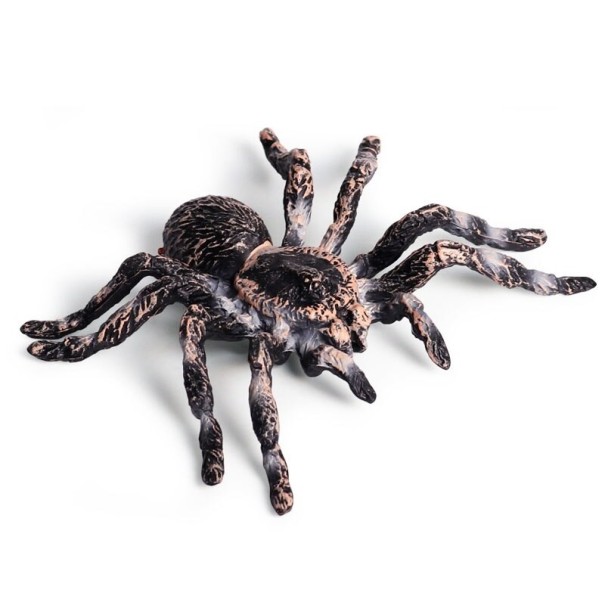 Tarantula Figure 1