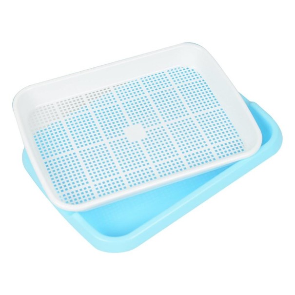 Tasse de germination avec tamis bleu clair
