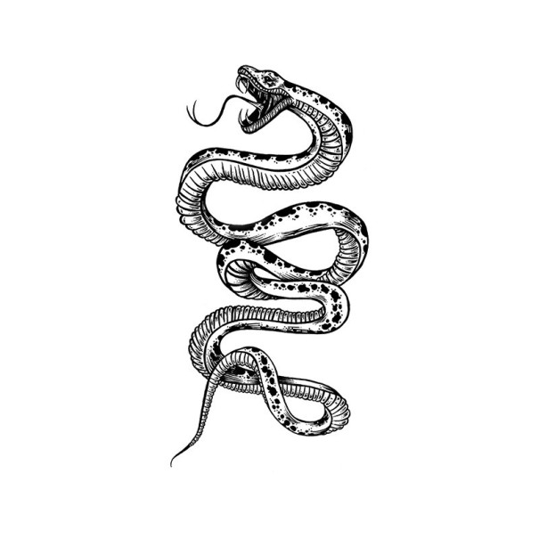Tatuaggio temporaneo con motivo di serpente 19 x 9,6 cm Linee sottili Tatuaggio impermeabile Durata fino a 15 giorni Design elegante Decorazione per il corpo per uomini e donne 1