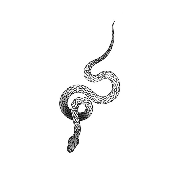 Tatuaggio temporaneo con motivo di serpente 19 x 9,6 cm Linee sottili Tatuaggio impermeabile Durata fino a 15 giorni Design elegante Decorazione per il corpo per uomini e donne 1