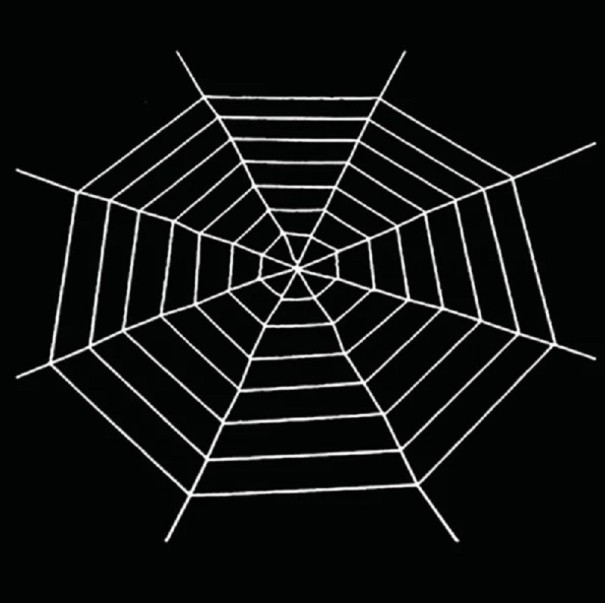 Telaraña gigante de algodón elástica para decoración del hogar, decoración de Halloween, decoración de Halloween al aire libre, telaraña elástica de algodón para casa, 2,5 m blanco