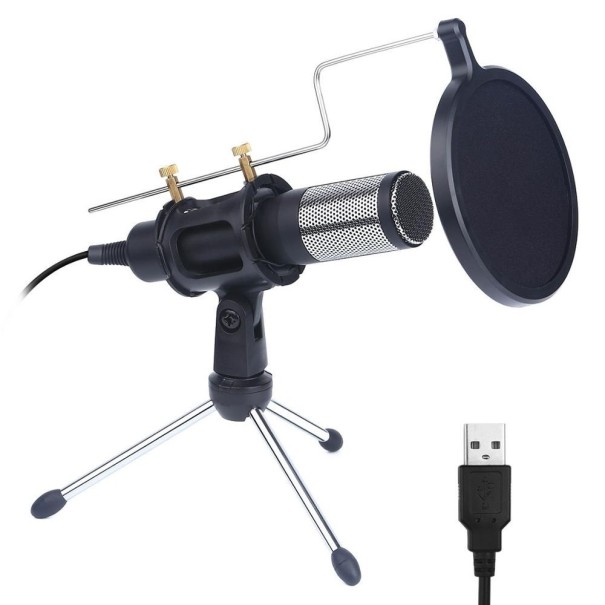 Tischmikrofon mit Popfilter 1