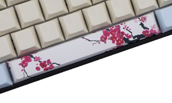 Touche de barre d'espace interchangeable avec impression de nature 2