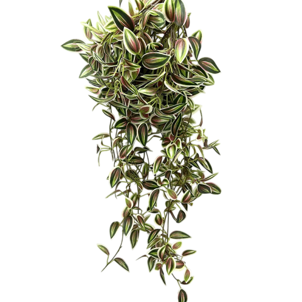 Tradescância artificial pendente 75 cm Planta decorativa trepadeira com folhas realistas Decoração de interior para vaso ou suspensão verde