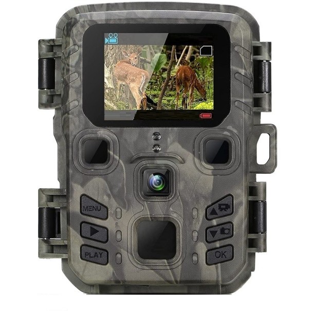 Trail Camera P3816 1