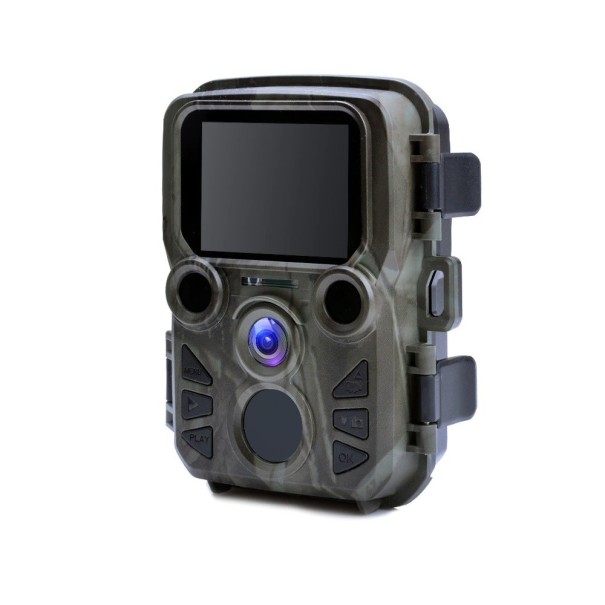Trail Camera P3817 1