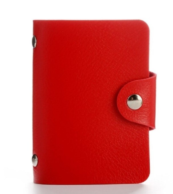 Travel Document Case T955 red