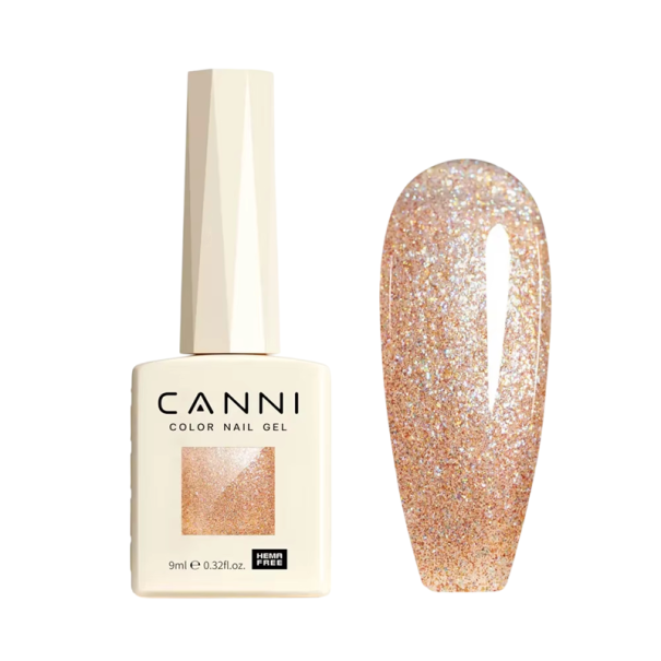 Třpytivý magnetický gel lak na nehty 9 ml Lesklý efekt UV LED vytvrditelný pro salonní i domácí manikúru HEMA FREE 2