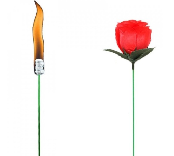 Truque de magia com rosa 1