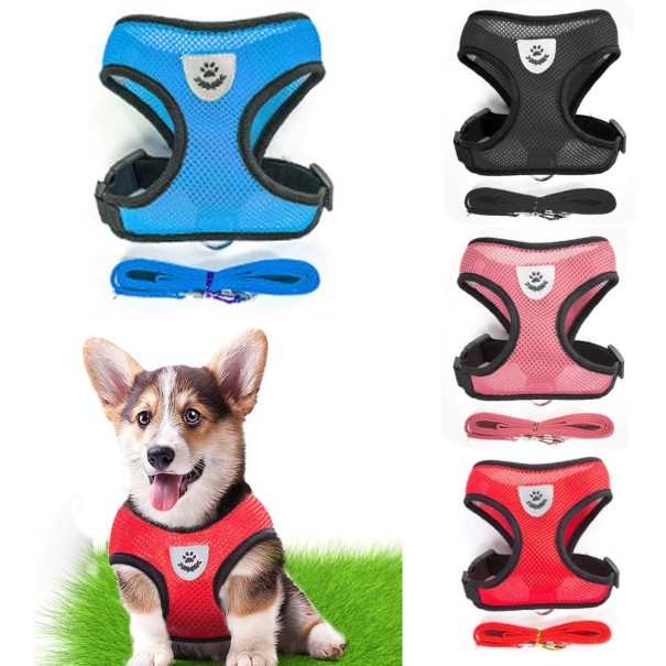 Tuigje voor katten en kleine honden