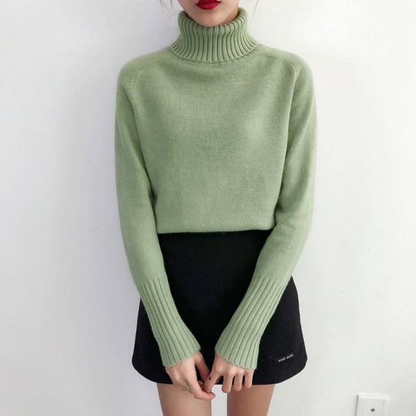 Turtleneck G208 dam