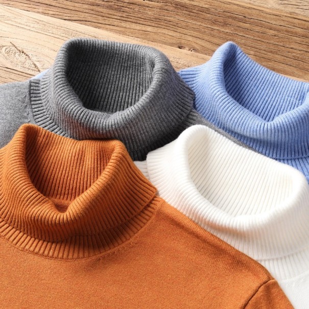 Turtleneck tröja för män F170