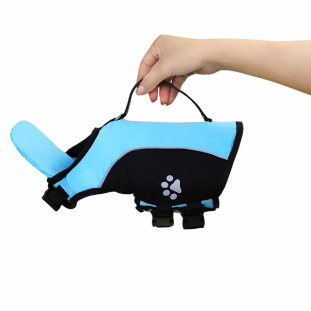 Uimavesti koiralle 2,5–5 kg kahvalla ja tassumotiffilla Rinnan ympärys 43–56 cm sininen
