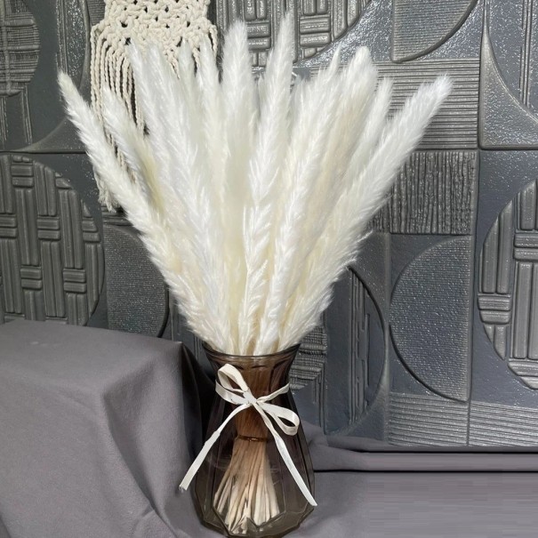 Umelá pampová tráva 30 - 45 cm 30 ks biela
