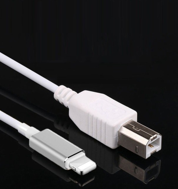 USB-B til Lightning-kabel K142 1