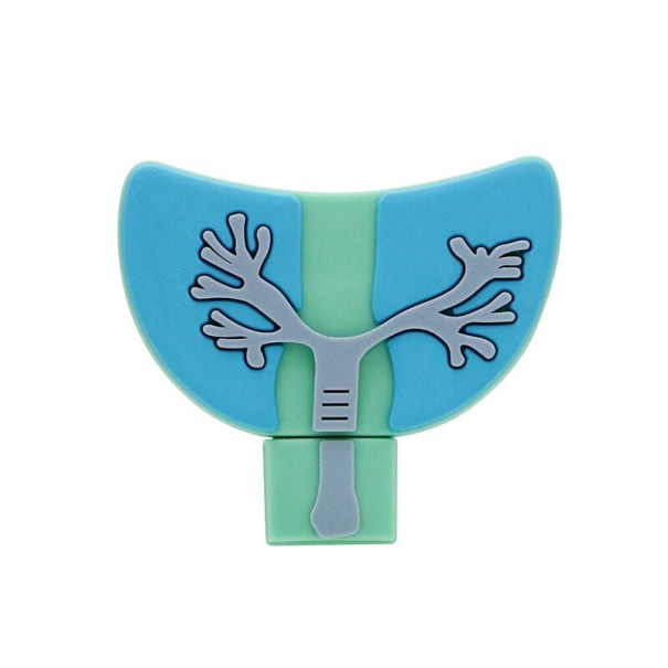 USB flash meghajtó emberi testrészek 8GB 4
