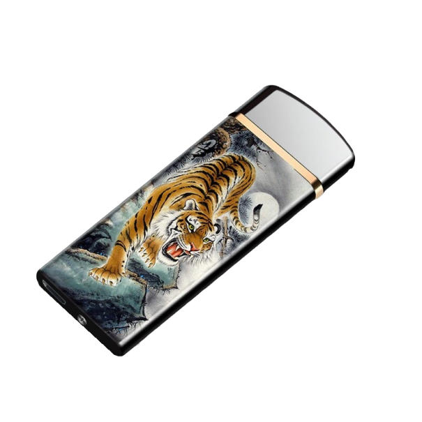 USB-plasmalighter P3422 2