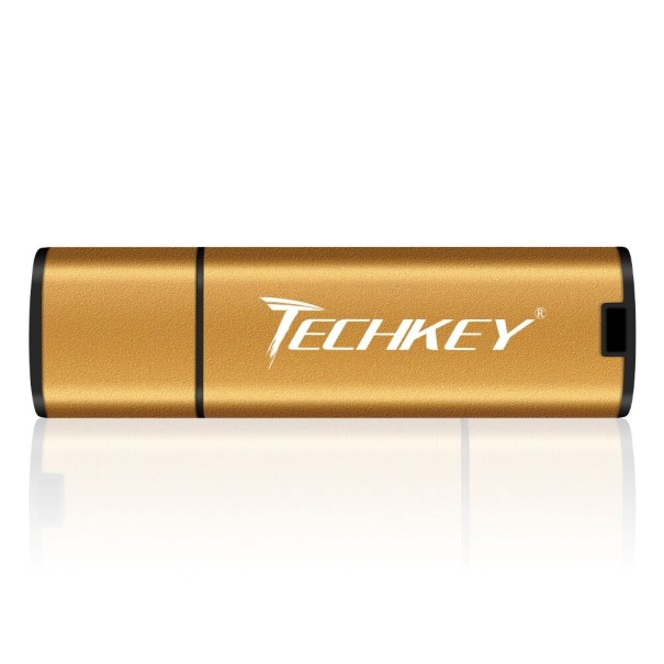 USB-stick H23 goud 64GB