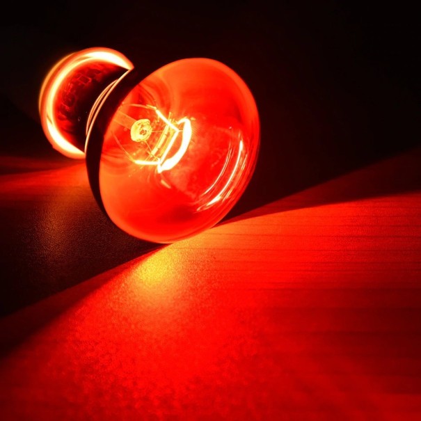 UVB-verwarmingslamp voor terrarium