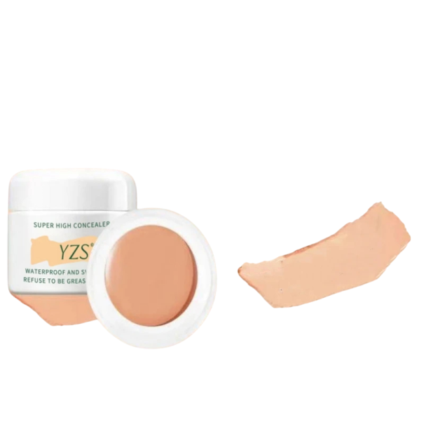 Vandfast korrigerende makeup 12 g Højdækkende concealer til ar og tatoveringer Langtidsholdbar effekt Dækker ujævnheder Naturlig finish Natural
