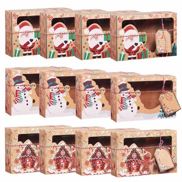 Vánoční dárková krabička 22 x 15 x 7 cm 12 ks 1