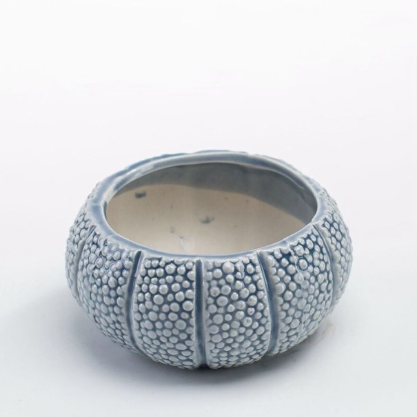 Vaso decorativo em forma de concha azul 2