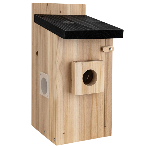 Venkovní ptačí budka s kamerou a aplikací v mobilu detekce pohybu 14,5 x 15,5 x 32 cm dřevěná přírodní s černou střechou na pozorování ptáků 1