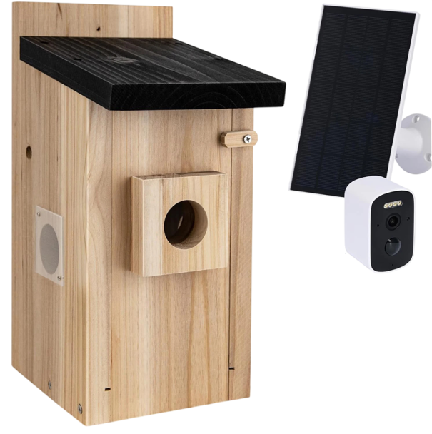 Venkovní ptačí budka s kamerou a aplikací v mobilu detekce pohybu solární panel 14,5 x 15,5 x 32 cm dřevěná přírodní na pozorování ptáků 1
