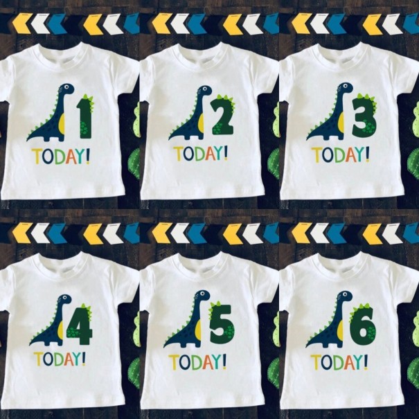 Verjaardagsshirt voor jongens B1538