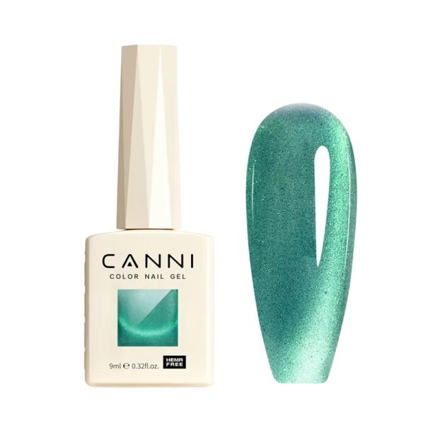 Vernis gel avec effet œil de chat 9 ml Vernis gel magnétique UV/LED Sans HEMA Design d'ongles professionnel avec une tenue de 3 à 4 semaines 5