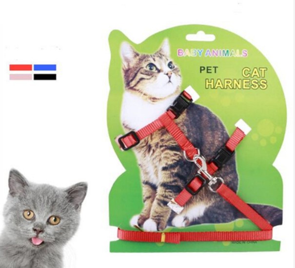 Verstelbare kattenluiken