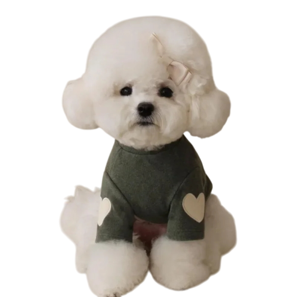 Vêtement d'hiver pour chien 2,5 - 4 kg Veste chaude pour petits chiens Manteau réchauffant Protection contre le froid Vêtements d'hiver confortables pour chiots et races miniatures vert foncé