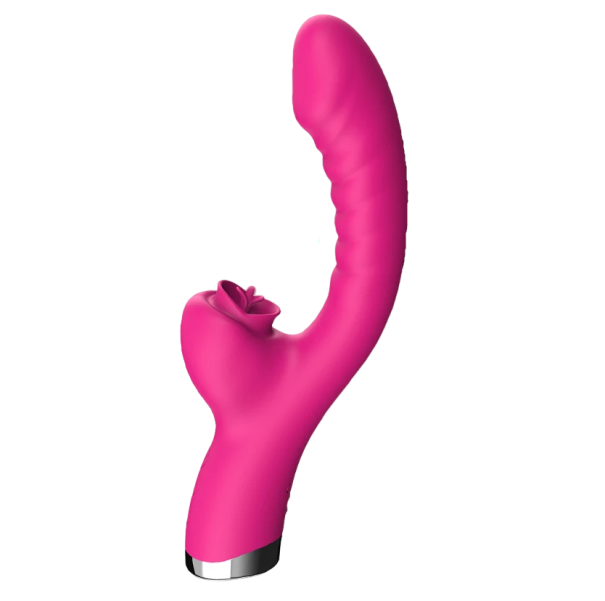 Vibrateur à double stimulation Vibrateur étanche avec 20 modes de vibration Jouet érotique pour femmes 2 en 1 rose