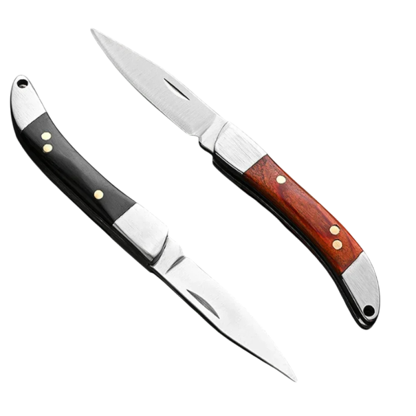Vikbar fickkniv i rostfritt stål 10 cm Kompakt EDC Fickkniv Vikkniv för resor Utomhusverktyg Camping Fotvandring Överlevnadsresor