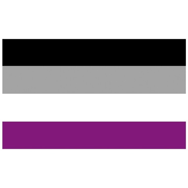 Vlajka asexuální hrdosti 90 x 150 cm 1