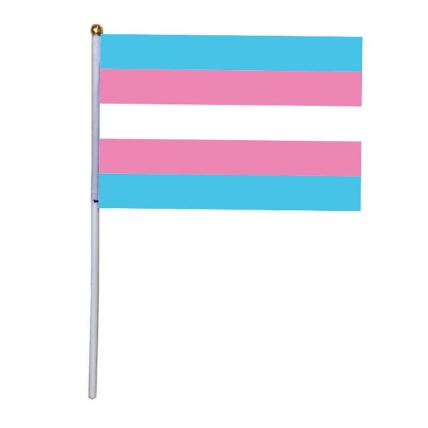 Vlajka trans hrdosti 14 x 21 cm 1