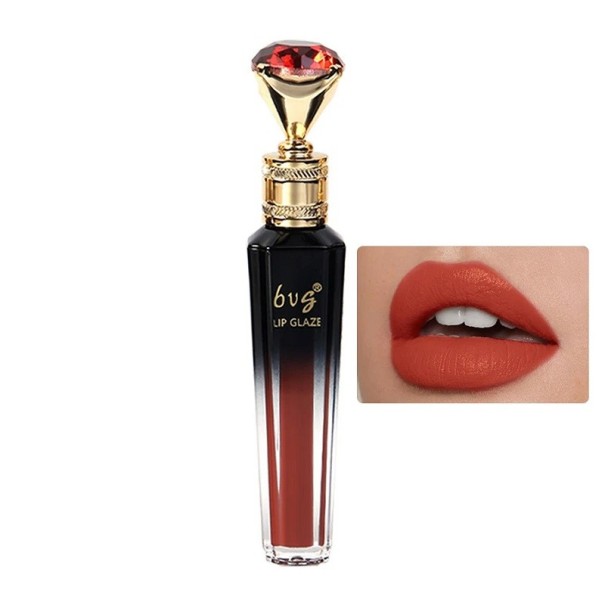 Waterdichte vloeibare fluweelzachte matte lippenstift Intense pigmentatie Vlekbestendig Zachte fluweelzachte finish Applicator voor nauwkeurige applicatie 2,5 g 4