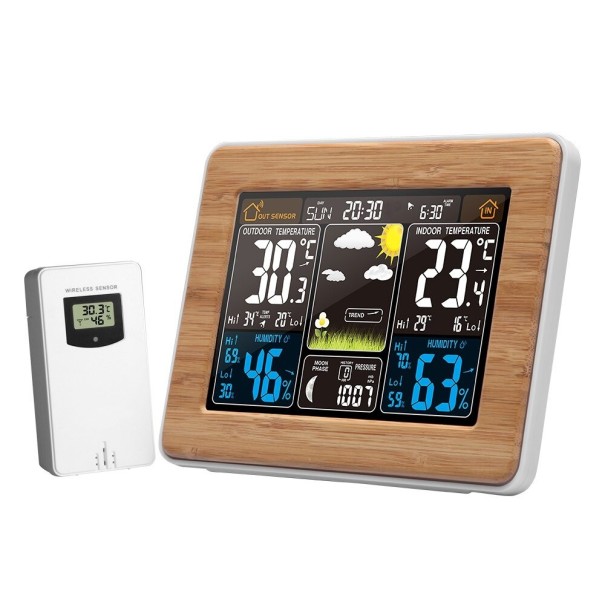 Weerstation T956 bruin