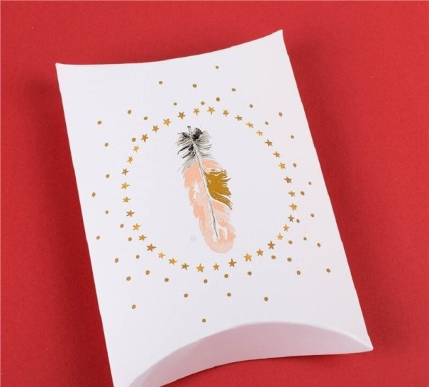 Weihnachtsgeschenkbox 10 Stück C621 7