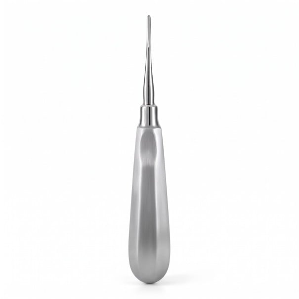 Wiertło dentystyczne i dźwignia z prostym końcem 3 mm ze stali nierdzewnej, srebrne, chirurgiczne narzędzie dentystyczne do ekstrakcji zębów w stomatologii 1