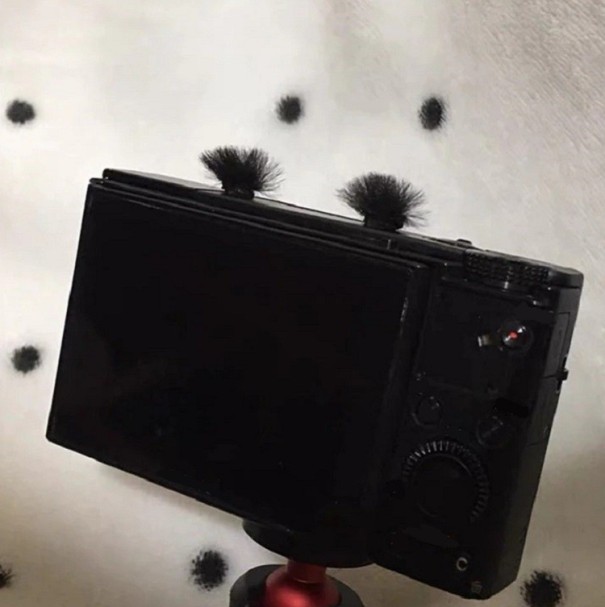 Windbescherming voor cameramicrofoon 10 stuks