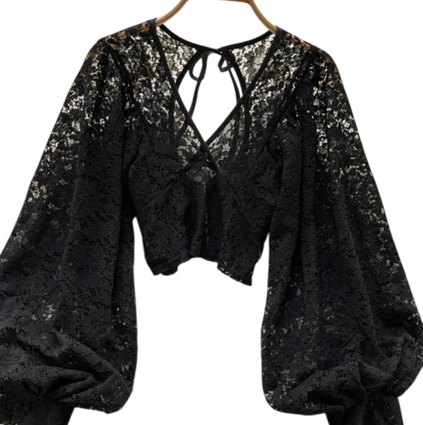 Women's Semi-Sheer Blouse Universal Size V-Neck Long Sleeve Ruching Neck Tie black